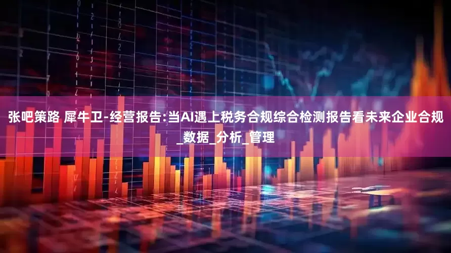 张吧策路 犀牛卫-经营报告:当AI遇上税务合规综合检测报告看未来企业合规_数据_分析_管理