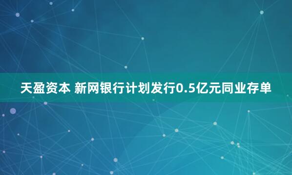 天盈资本 新网银行计划发行0.5亿元同业存单